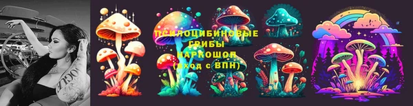 apvp Балабаново