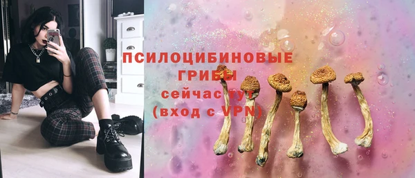 крисы Балахна