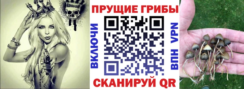 Псилоцибиновые грибы Magic Shrooms Купить закладки Грайворон
